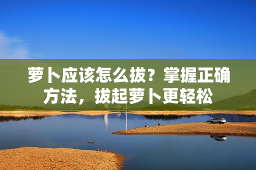萝卜应该怎么拔?掌握正确方法,拔起萝卜更轻松 萝卜应该怎么拔?掌握正确方法,拔起萝卜更轻松