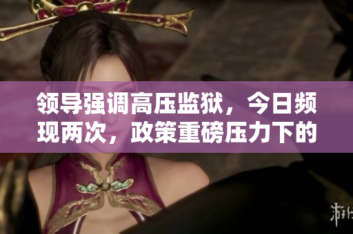 领导强调高压监狱，今日频现两次，政策重磅压力下的再思考