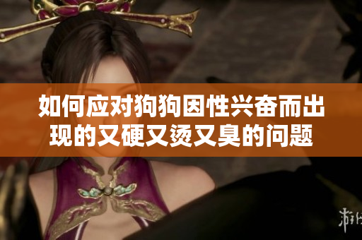如何应对狗狗因性兴奋而出现的又硬又烫又臭的问题 如何应对狗狗因性兴奋而出现的又硬又烫又臭的问题