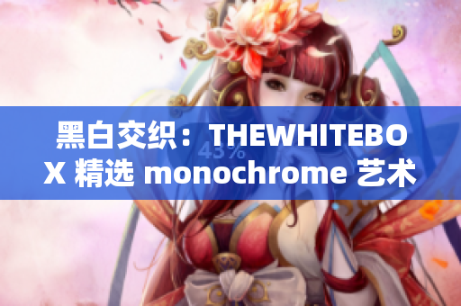 黑白交织:THEWHITEBOX 精选 monochrome 艺术 黑白交织:THEWHITEBOX 精选 monochrome 艺术