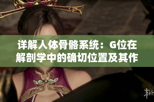 详解人体骨骼系统:G位在解剖学中的确切位置及其作用 详解人体骨骼系统:G位在解剖学中的确切位置及其作用