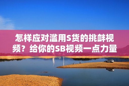 怎样应对滥用S货的挑衅视频?给你的SB视频一点力量 怎样应对滥用S货的挑衅视频?给你的SB视频一点力量