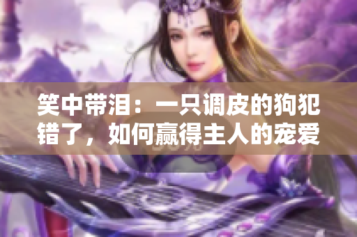 笑中带泪：一只调皮的狗犯错了，如何赢得主人的宠爱与原谅