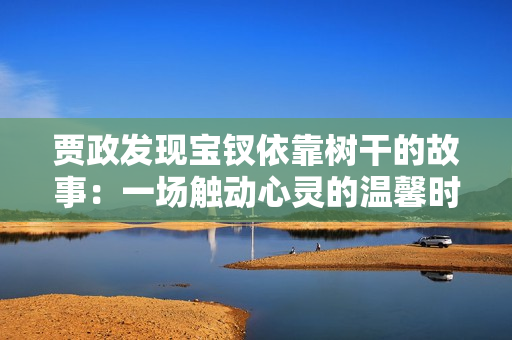 贾政发现宝钗依靠树干的故事：一场触动心灵的温馨时刻