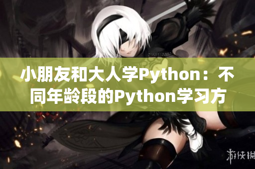 小朋友和大人学Python：不同年龄段的Python学习方法对比