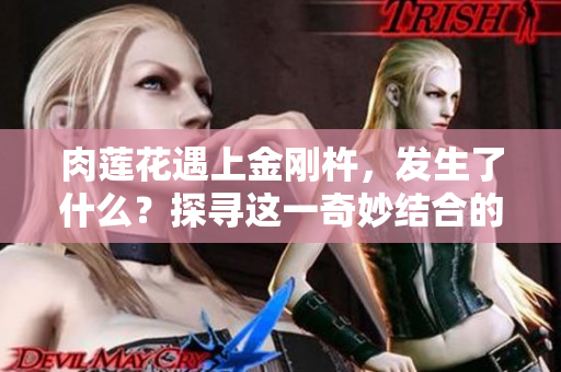 肉莲花遇上金刚杵，发生了什么？探寻这一奇妙结合的效果