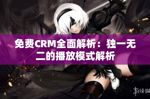 免费CRM全面解析：独一无二的播放模式解析