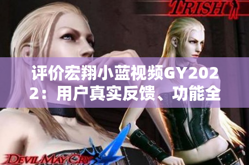 评价宏翔小蓝视频GY2022：用户真实反馈、功能全面解析及专家评述