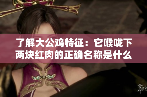 了解大公鸡特征：它喉咙下两块红肉的正确名称是什么？