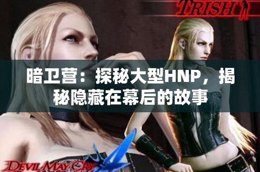 暗卫营：探秘大型HNP，揭秘隐藏在幕后的故事