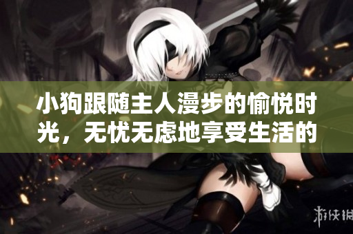 小狗跟随主人漫步的愉悦时光,无忧无虑地享受生活的视频 小狗跟随主人漫步的愉悦时光,无忧无虑地享受生活的视频