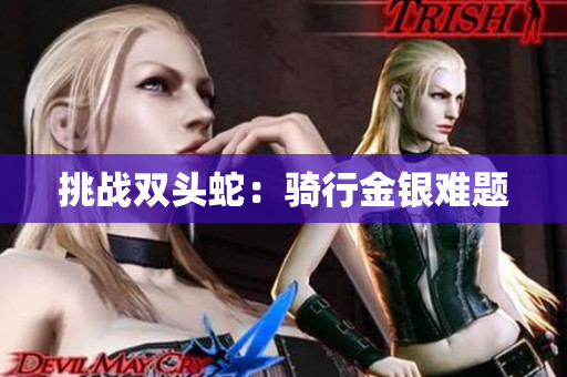 挑战双头蛇：骑行金银难题
