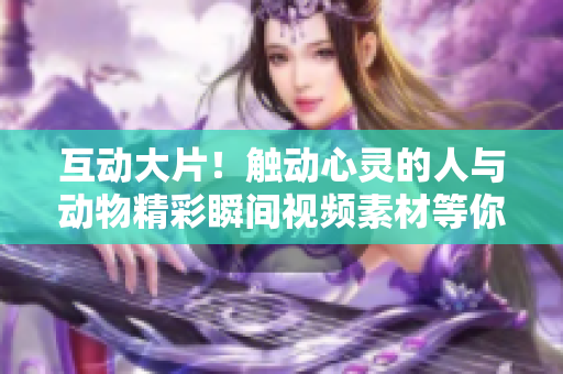 互动大片！触动心灵的人与动物精彩瞬间视频素材等你下载