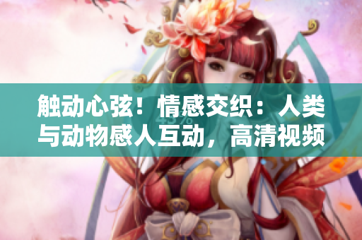 触动心弦!情感交织:人类与动物感人互动,高清视频素材免费下载 触动心弦!情感交织:人类与动物感人互动,高清视频素材免费下载
