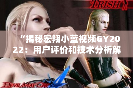 “揭秘宏翔小蓝视频GY2022：用户评价和技术分析解读”