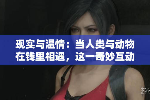 现实与温情：当人类与动物在钱里相遇，这一奇妙互动被称为什么？
