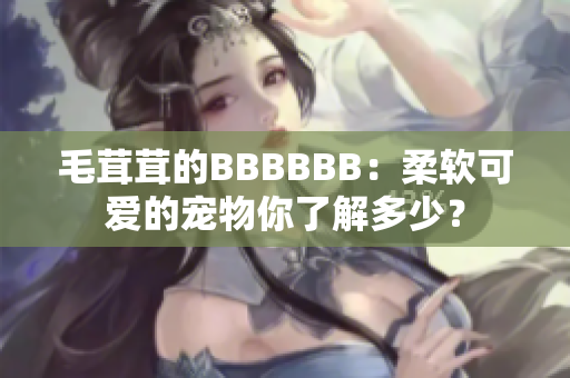 毛茸茸的BBBBBB：柔软可爱的宠物你了解多少？