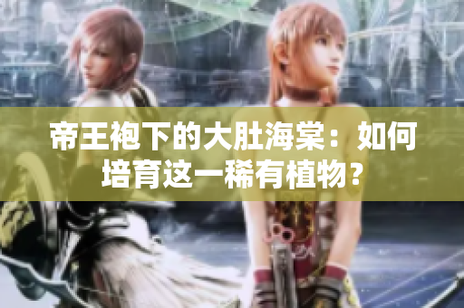 帝王袍下的大肚海棠:如何培育这一稀有植物? 帝王袍下的大肚海棠:如何培育这一稀有植物?