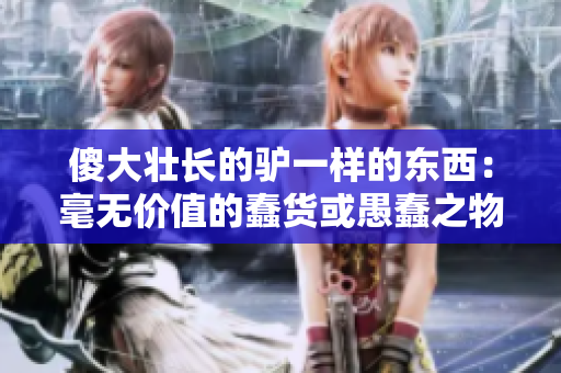 傻大壮长的驴一样的东西：毫无价值的蠢货或愚蠢之物