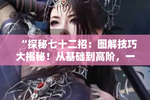 “探秘七十二招：图解技巧大揭秘！从基础到高阶，一图胜千言，助你轻松掌握！”