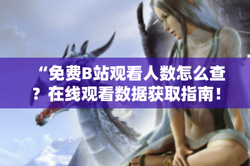 “免费B站观看人数怎么查？在线观看数据获取指南！”