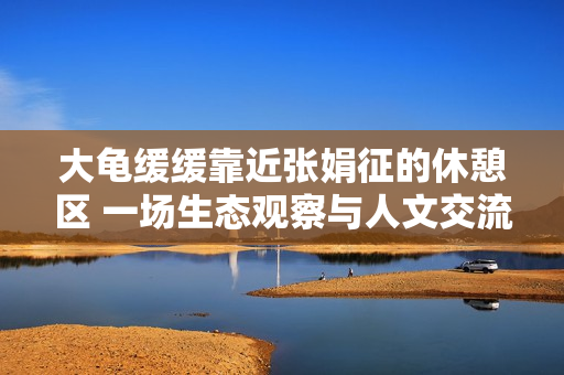 大龟缓缓靠近张娟征的休憩区 一场生态观察与人文交流 大龟缓缓靠近张娟征的休憩区 一场生态观察与人文交流