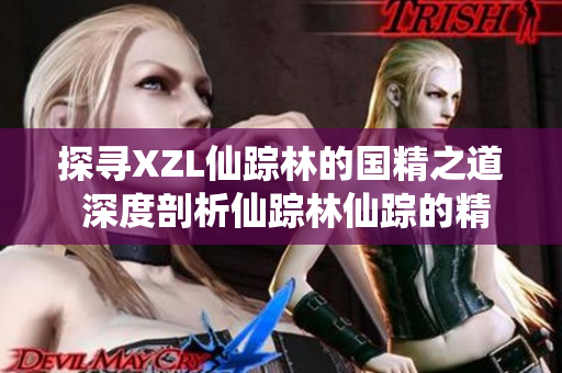 探寻XZL仙踪林的国精之道 深度剖析仙踪林仙踪的精髓 探寻XZL仙踪林的国精之道 深度剖析仙踪林仙踪的精髓