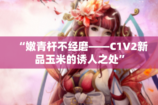 “嫩青杆不经磨——C1V2新品玉米的诱人之处”