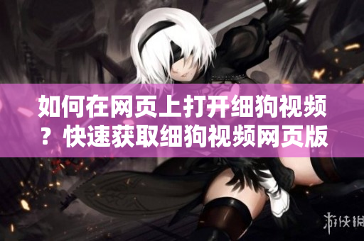 如何在网页上打开细狗视频？快速获取细狗视频网页版链接的方法分享