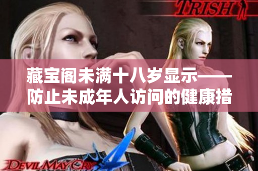 藏宝阁未满十八岁显示——防止未成年人访问的健康措施