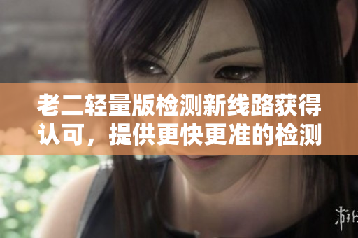 老二轻量版检测新线路获得认可，提供更快更准的检测服务