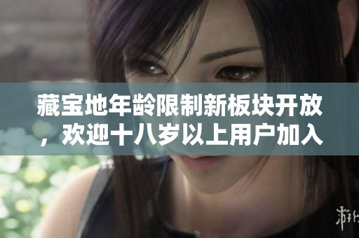 藏宝地年龄限制新板块开放，欢迎十八岁以上用户加入寻宝之旅